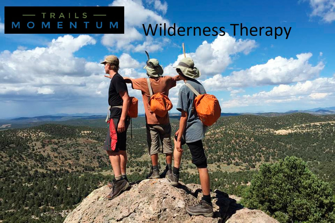 wilderness treatment programs